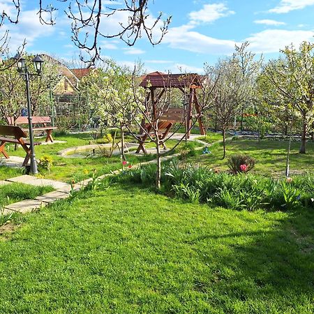 Trend Bed and Breakfast Arad Buitenkant foto