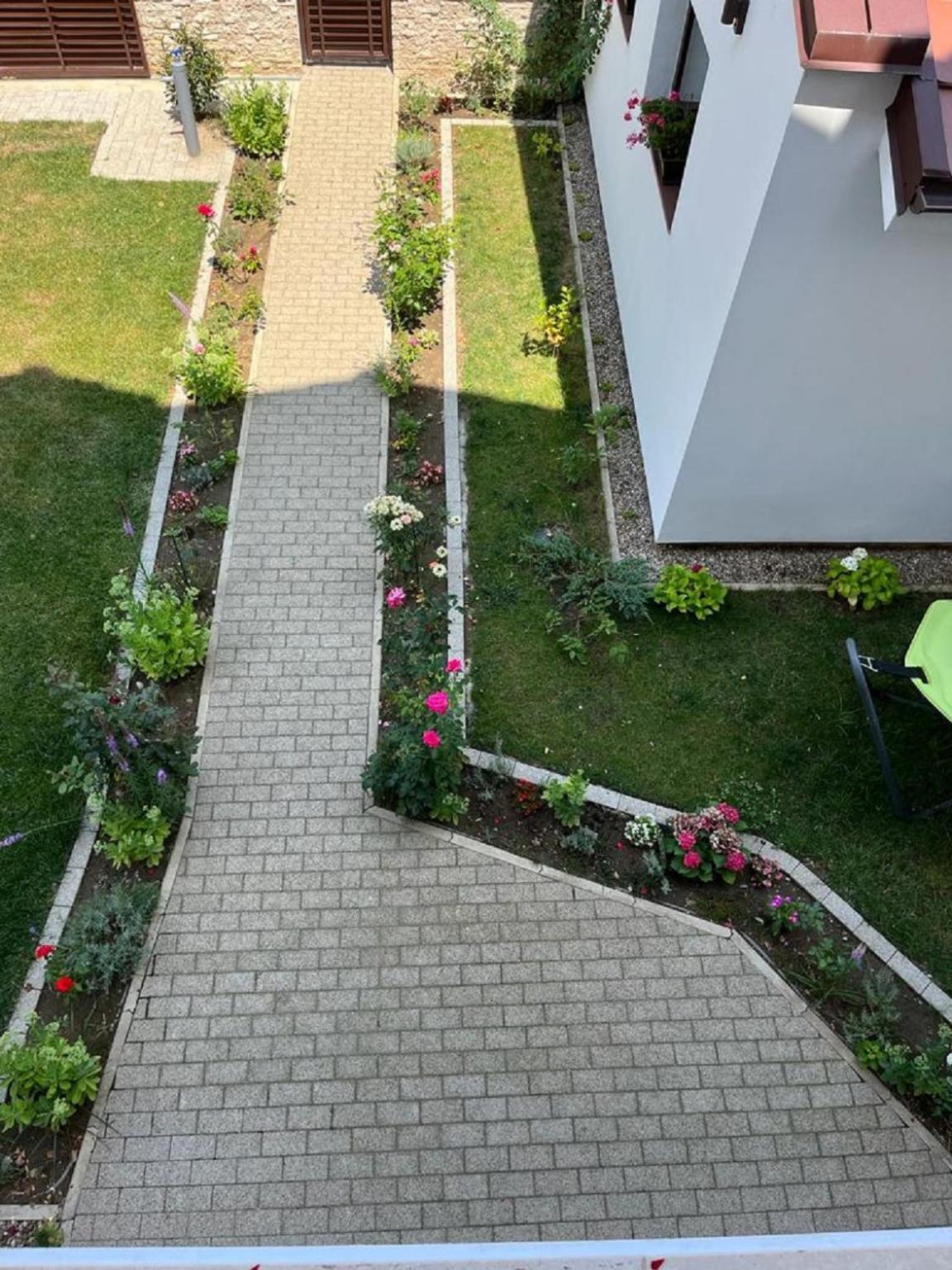 Trend Bed and Breakfast Arad Buitenkant foto