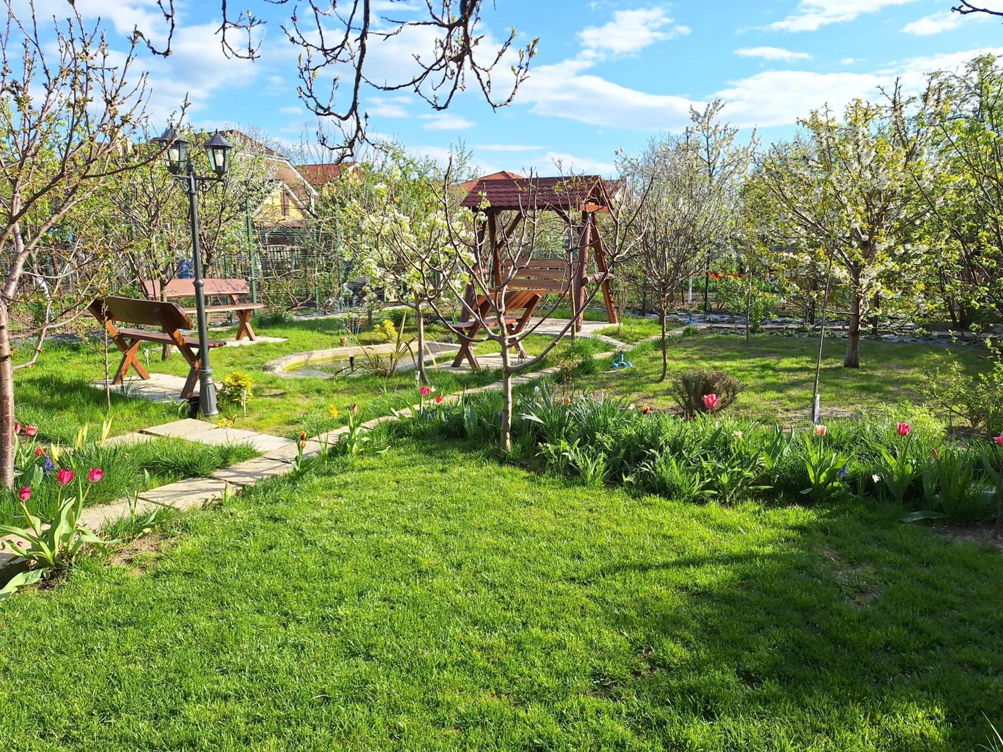 Trend Bed and Breakfast Arad Buitenkant foto